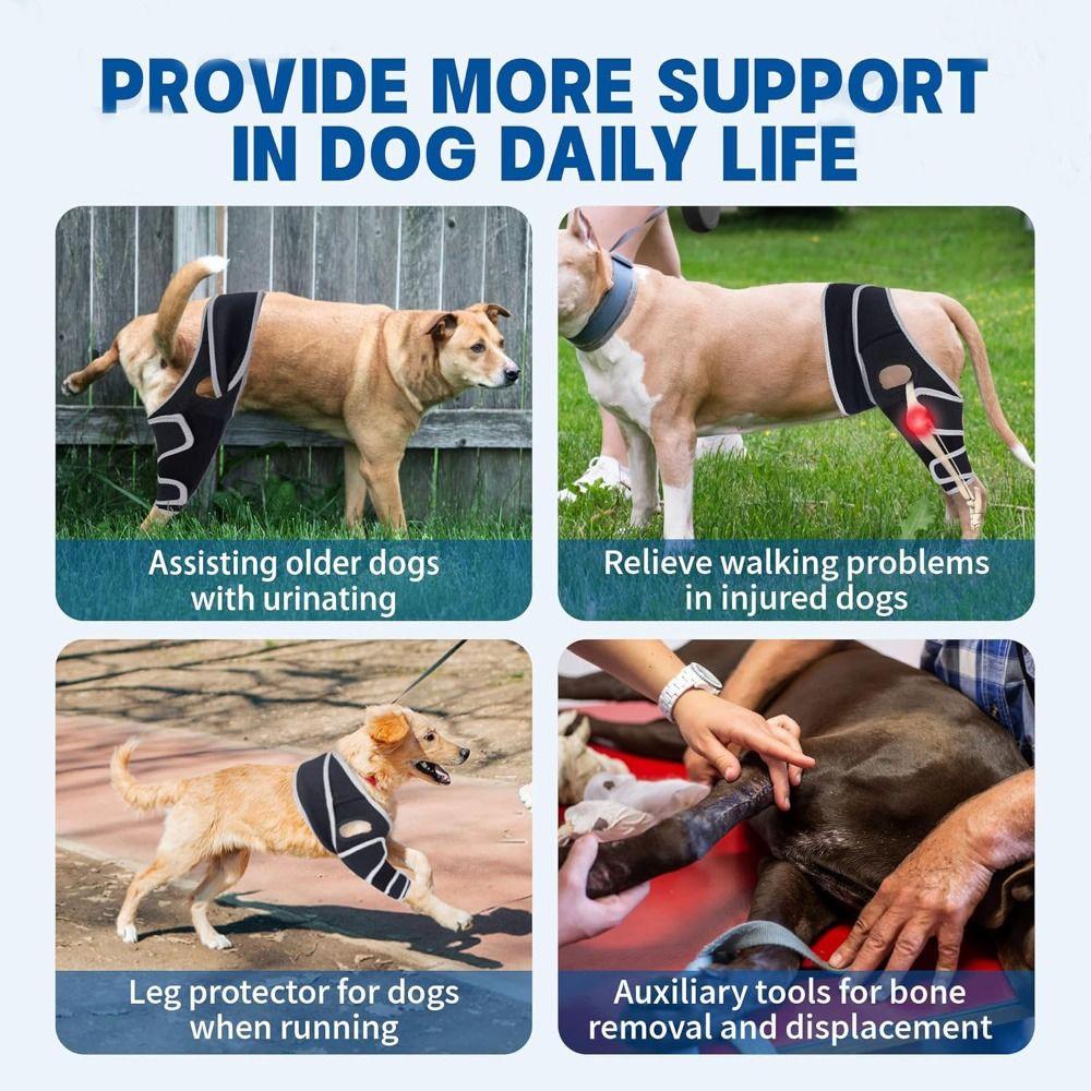 Durable Leg Support Bracket Adjustable Pet Knee Wound Protection  for Hind and Front Legs