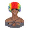 Rainbow Clown Wig Colorful Hippie Crazy Football Fans Wig Fluffy Curly Afro Wigs 70's 80's Disco Theme Cosplay Synthetic Wigs