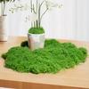 Artificial Green Moss Turf for Decorative Landscaping and Bonsai