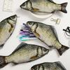 Cartoon Large Capacity Pen Bag Simulated Crucian Carp Multifunctional Pencil Case Stationery Organizer Student