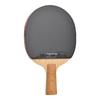 Raquete de Tênis de Mesa DHS Série Ouro Profissional