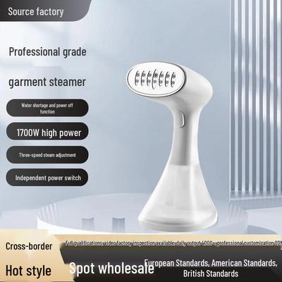 Portable Handheld Garment Steamer with Digital Display – Three-Speed Steam Function & Auto Power-Off