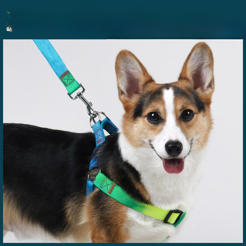 

Colorful Pet Leash Rainbow Leash Cat Leash Dog Leash Chest Strap Walking Dog Leash Dog Chain 1.5*120cm