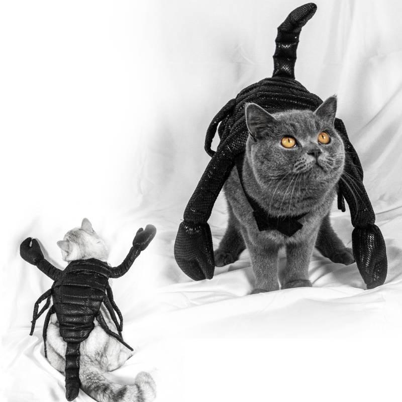 Halloween Haustier Kostüm Süßes Skorpionkönig Kostüm Für Katzen Und Hunde Aus Schwarzem Stoff