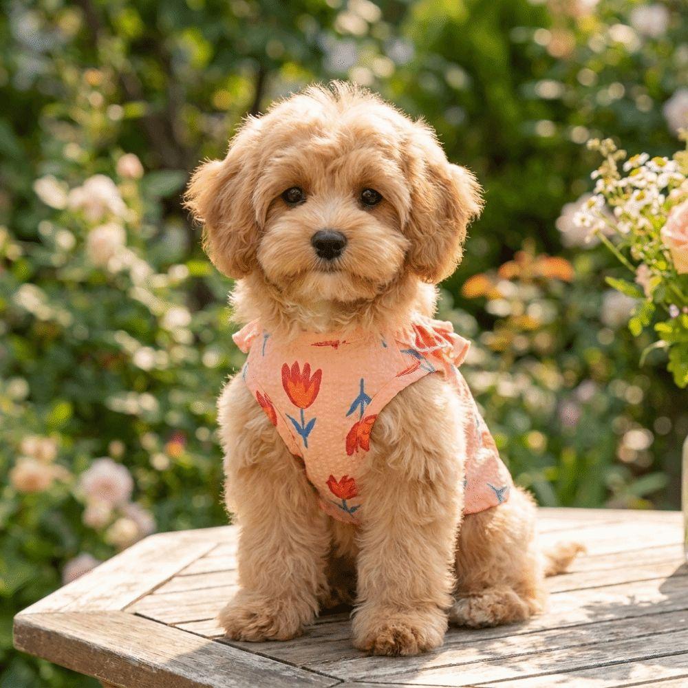 Dog Summer Vest Breathable Puppy Flower Skirt Tulip Design Soft Dog Cooling Vest Thin Pet Princess Dress Photography