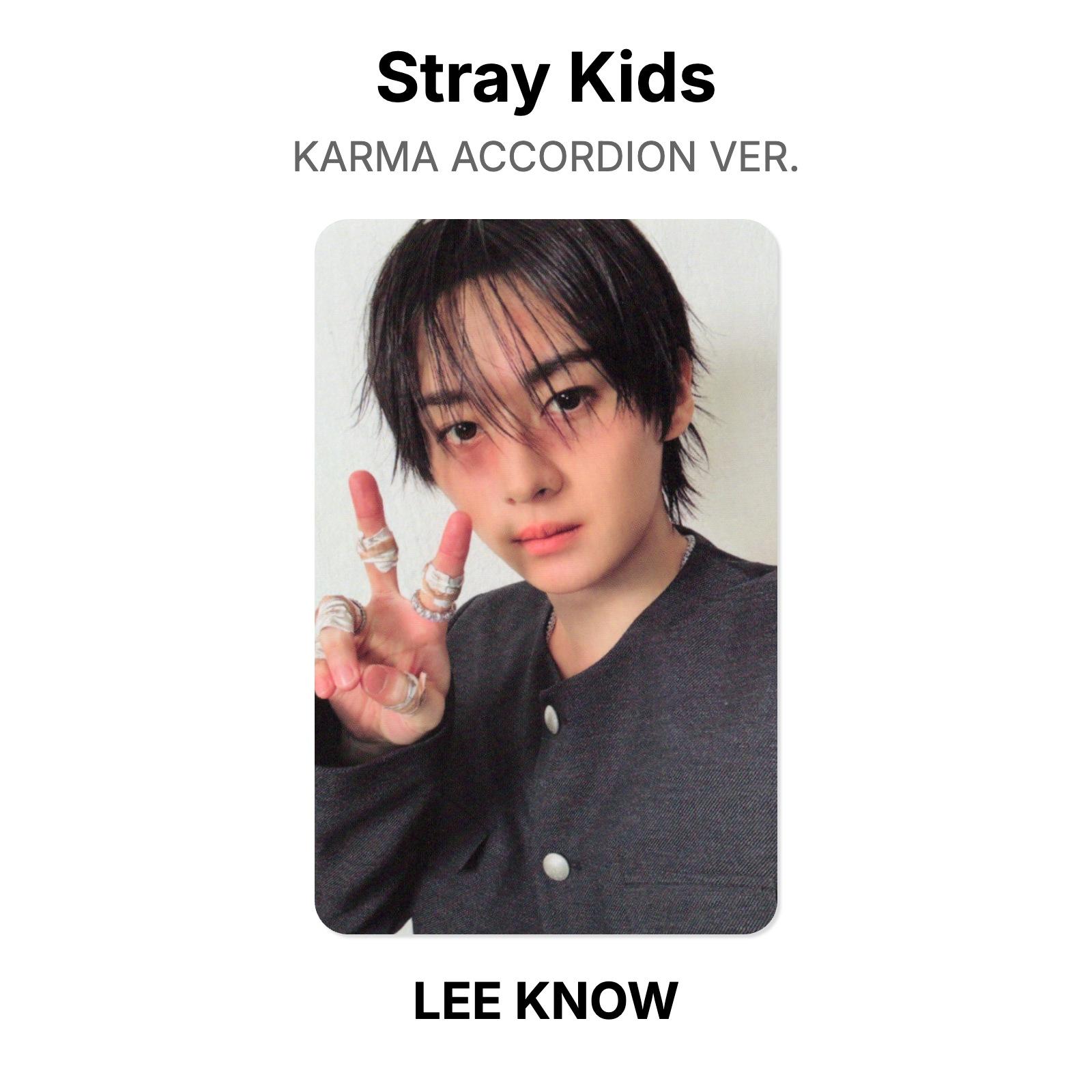 Stray Kids KARMA ACCORDION VER. Официальная фотокарта LEE KNOW 02 brown