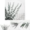 Grünes Eukalyptus Citriodora Blatt Grünzeug Kunstblumenstrauß für Heimdekoration
