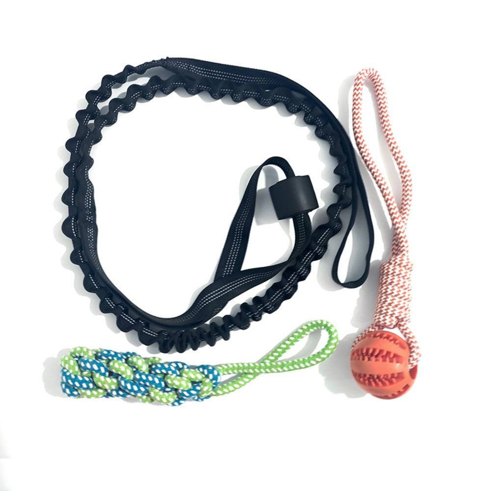 Interactive Dog Ball Toy with Rope Tether Tug of War Solo Play Bite Resistant Chew Toys Puppy Training