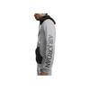 Nike Bluză cu glugă și imprimeu scris Sweatshirt american Sweatshirt raglan Sweatshirt bărbați Gri CK2852-092