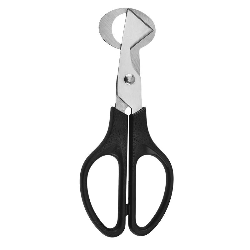 Stainless Steel Quail Egg Opener Scissors - Eggshell Cutter and Kitchen Shears