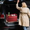 Trunk Organizer Foldable Cargo Storage For Back Of Car 30L Handled Waterproof Box Accessories Holder For Diaper Fruits