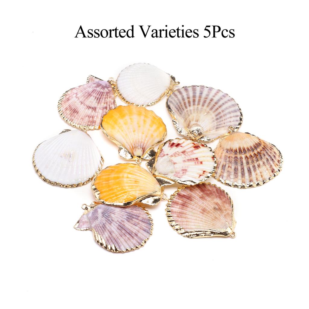 5Pcs, Natural Shell Conch Pendant, Marine Style Handcrafted Golden Edged Charms, for DIY Necklace Accessories, Jewelry Making Crafts, Aquatic Decor