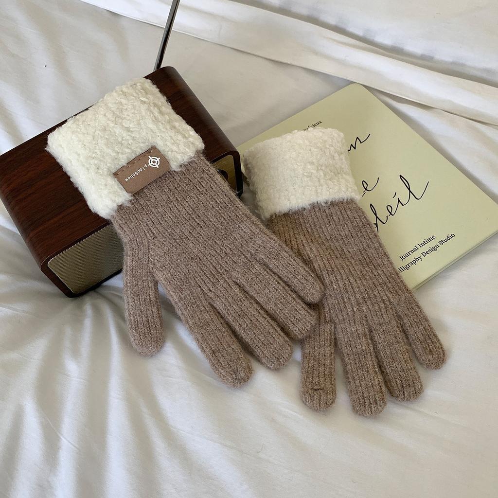 Full finger Touch Screen Thickened Warm Woolen Knitted Gloves for Autumn and Winter New Style Finger Separated Cycling Hand Protection for Women