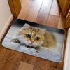 Cat Pattern Optical Illusion Doormat Non-slip Bedroom Door Rug Bathroom Carpet  Home Decor