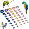 4-15mm Parrot Leg Ring Metal Pet Bird Leg Rings Outdoor Fly Training Activity Anti-Lost Opening Ring Foot Ring