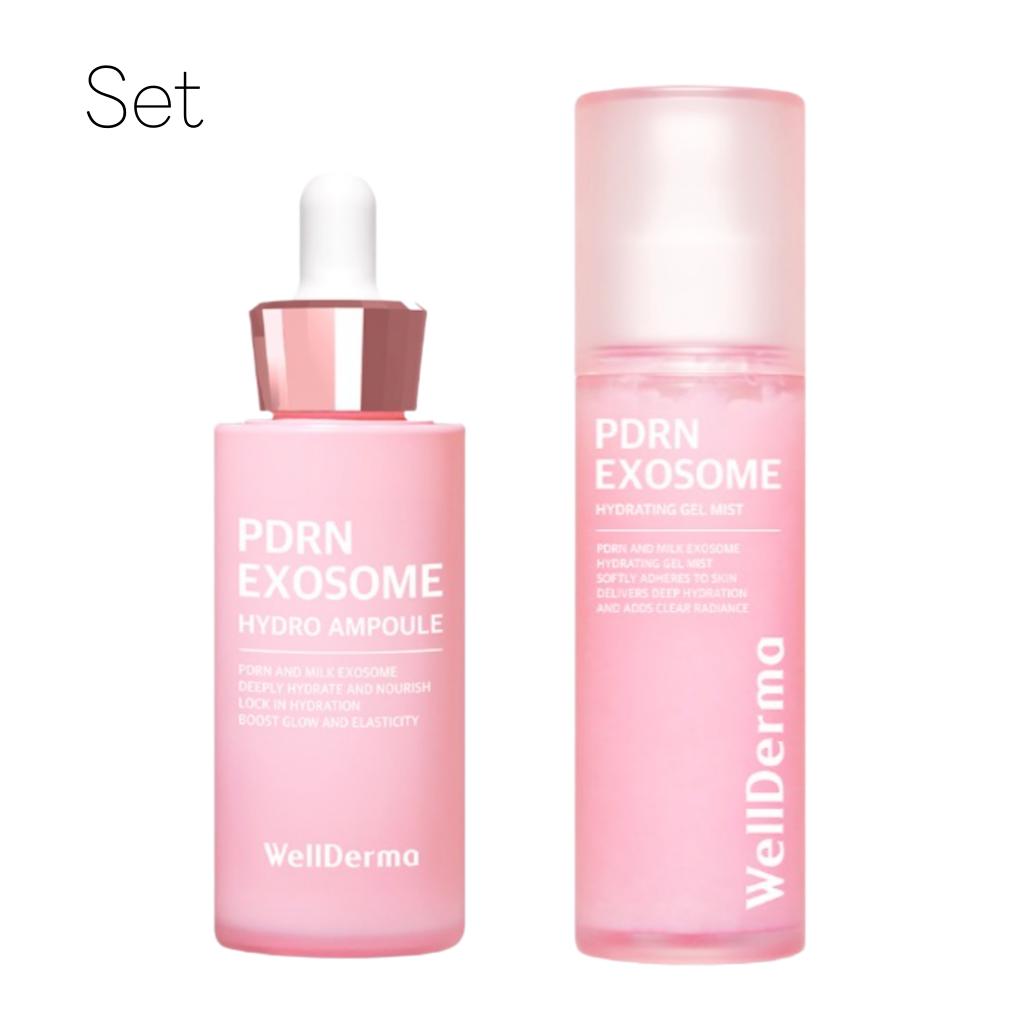 

[WellDerma] PDRN Экзосома Гидро Ампула 30мл Увлажняющий Гель-Мист 100мл Set