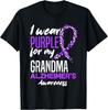 I Wear Purple For My Grandma Dementia Alzheimer's Awareness T-Shirt