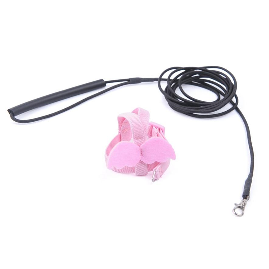 Parrot Flying Harness Rope Bird Walking Rope Ultra-light Flying Towing Rope