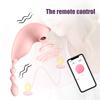 APP Bluetooth Control Kalhotky Vibrátory pro ženy Nositelné dildo Stimulátor klitorisu Ženská vaginální masáž Sexuální hračky pro páry