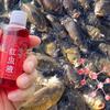 1 Pieza Atractivo Fuerte para Peces Concentrado Aroma a Gusano de Sangre Rojo Spray Sabor para Pesca de Trucha A E0X2