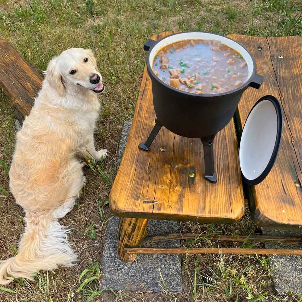 Enameled Cast Iron Pot with Lid 8L