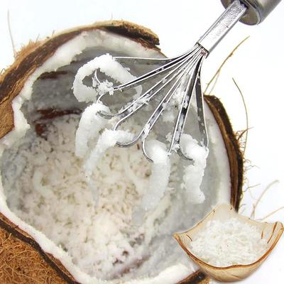 3/2/1Pcs Coconut Grater Stainless Steel Wiping Silk Coconut Meat Scraper Grater Fish Scale Planer Scraping Fish Scale Gadgets