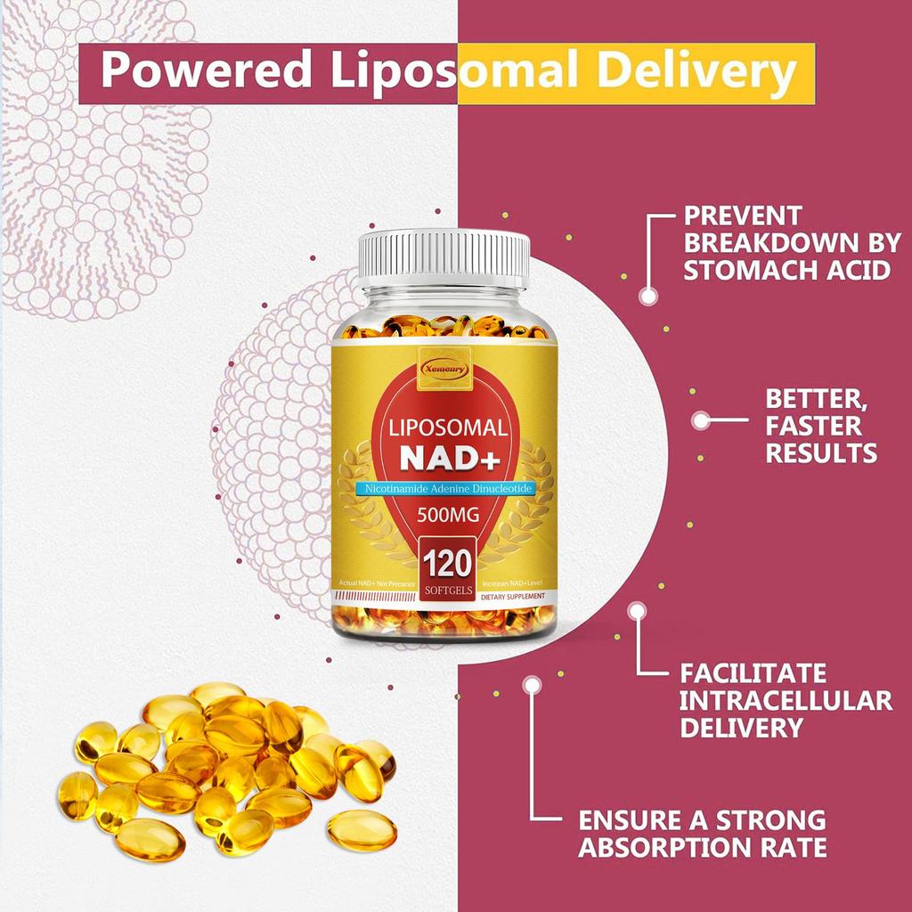 NAD+ - TMG, DNA Repair, Metabolism, Anti -aging, Focus Booster, Immune Support