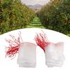 100pcs Plant Fruit   Bags,   Nylon Mesh Drawstring Bags for Tomatoes Grapes Apples, with Ventilated Design To Keep Out Birds