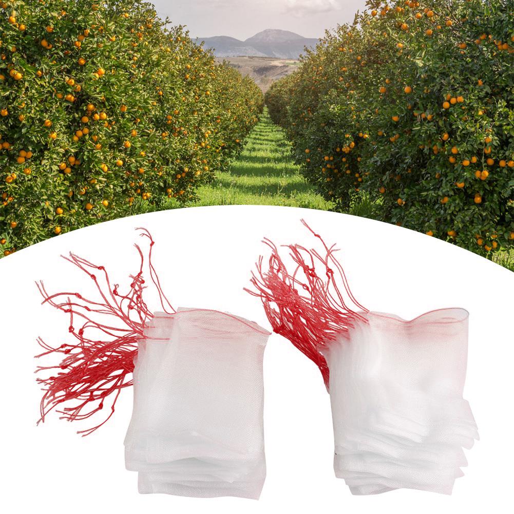 100pcs Plant Fruit   Bags,   Nylon Mesh Drawstring Bags for Tomatoes Grapes Apples, with Ventilated Design To Keep Out Birds