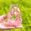 Mini Glass Decorative Bottle with Dried Flowers Compact Transparent Floral Ornament for Desk Bedside Window Sill Double Wall Hydroponic Vase Home