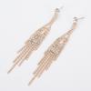 European and American New Earrings Tassel Ethnic Wind Stone Foreign Trade Ornament Hot Supply E394