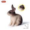 Oenux Lovely Farm Rabbit Bunny Model Action Figure Figurine Wild Desert Cottontail Hare Cute PVC Decoration Education Kid Toy