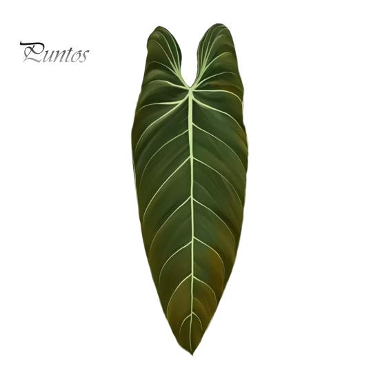 Tropical Plant Refrigerator Magnets 3D Plants Magnet, Acrylic Green Decorative Fridge Home Decor Memo Notes Photo Holder for Kitchen Office