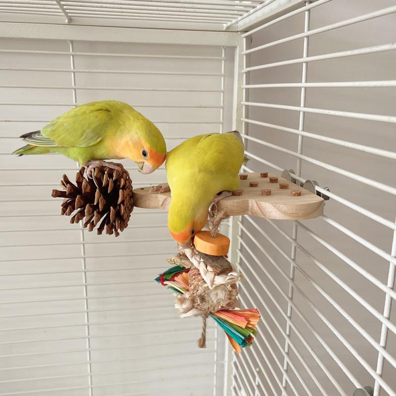 Parrot Toy, Stop The Platform, Relieve Boredom and Have Fun. Peony and Black Phoenix Bird Toy, Whining Board, Pinecone Chewing String Set