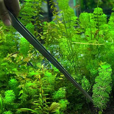 Pinzas de Acero Inoxidable para Acuario de 27 cm Alicates Planta de Acuario Herramientas Aquascape Rectas Curvas Pinzas Clip Tenazas de Alimentación Acuática