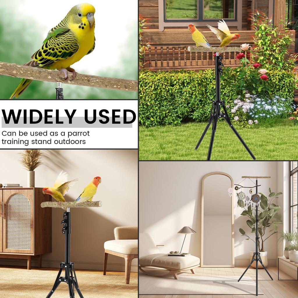 Holz Vogel Trainingssitz Ständer Höhe Verstellbar Vogel Sitzstange Spielzeug Innen Außen Vielseitig Vogel Papagei Spiel Trainingsstation Stange