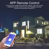 Graffiti Smart WiFi Curtain & Shutter Remote Switch with Touch & Alexa Voice Control