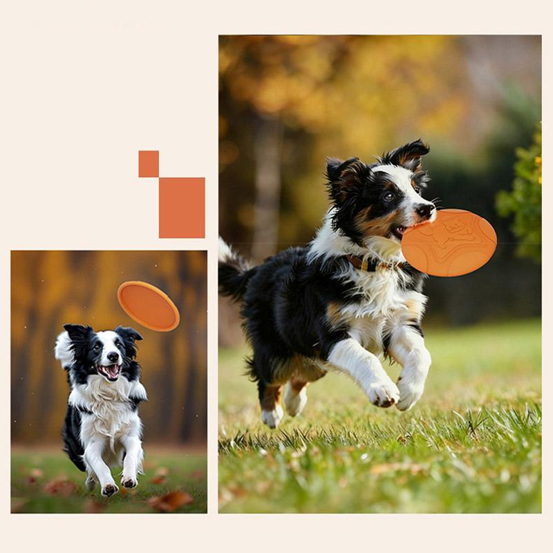 Bite-resistant Silicone Dog Flying Disk Toy Multifunctional Colorful Floating Outdoor Training Interactive Dog Toy Pelota Perro