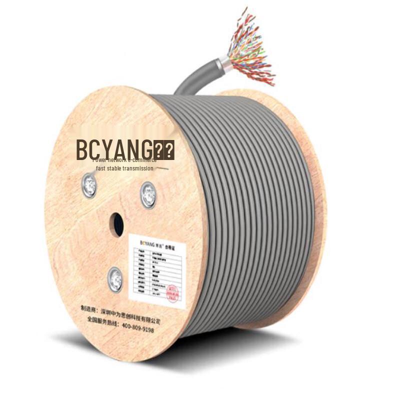 Boyang Cat3 100-Pair Unshielded LSZH Indoor Telephone Cable