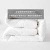 Hotel Style Four Seasons Soy Fiber Duvet