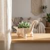 3D Printed Mini Flower Pot Desktop Decoration Plant Planting Pot Creative Dinosaur Flowerpot  Home