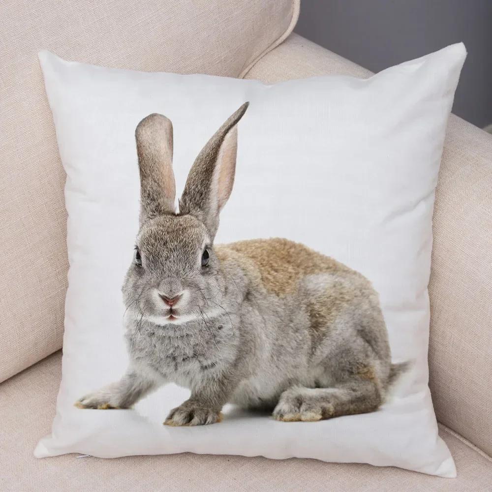 Home Sofa Kids Room Decor Cute Pet Animal Print Cushion Cover Pillowcase  Rabbit