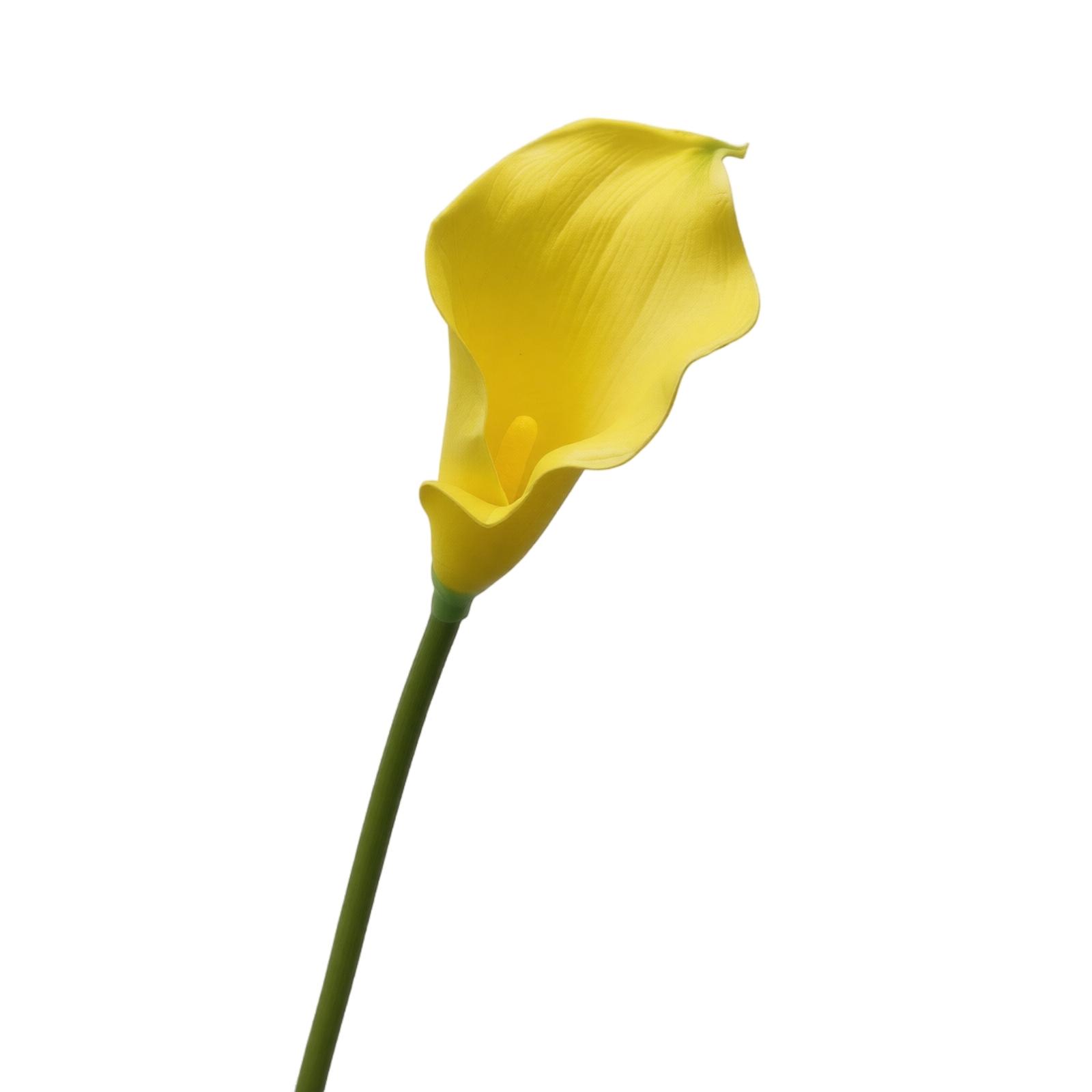 

Artificial Calla Lily Flower Stem EVA Foam Material Realistic Texture Single Stem for Home Office Wedding Decoration Floral Arrangement One Size жовтий