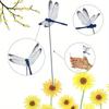 10PCS Garden flowerpot simulation dragonfly cuttings Color 3D simulation dragonfly Courtyard Outdoor Garden Decoration