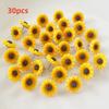 Bview Art Creative Sunflower Design Push Pins 30/50 PCs, Adorable Floral Cork Memo Board with Decorative Thumb Tacks