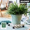 Chariot Pour Plantes - WAGNER - Hêtre Nature - 34x34 Cm - 100 Kg - 4 Roulettes Pivotantes
