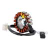 Magneto Stator Generator For Honda FES125 FES150 Pantheon 125 150 2T 1999-2002