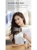 High-Power Negative Ion Hair Dryer for Household & Professional Use