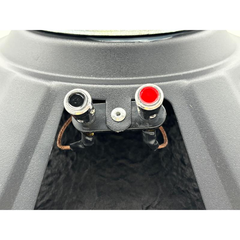 12" 150W Double Magnet Audiophile Car Subwoofer - High Power Speaker