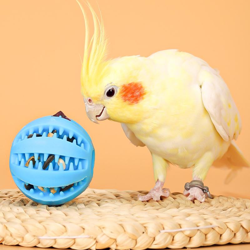 Futterbälle Vogelspielzeug Conure Futterspielzeug Wellensittich Fußkralle Spielzeug Nymphensittich Kautraining Rasselbälle Papageienkäfig Spielzeug
